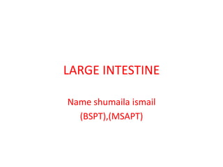 LARGE INTESTINE
Name shumaila ismail
(BSPT),(MSAPT)
 