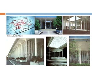 Universidad de Albany
 