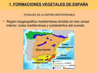 • Región biogeográfica mediterránea dividida en tres zonas:
interior; costa mediterránea y subdesértica del sureste
3. FORMACIONES VEGETALES DE ESPAÑA
Zona interiorZona interior
Costa
mediterránea
Costa
mediterránea
Zona
subdesértica
Interior
periférico
Subdesértico
(PAISAJES DE LA ESPAÑA MEDITERRANEA)
 
