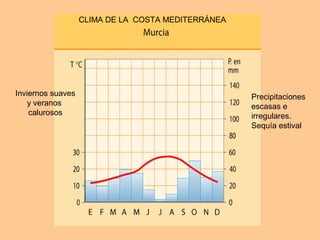 Precipitaciones
escasas e
irregulares.
Sequía estival
Inviernos suaves
y veranos
calurosos
CLIMA DE LA COSTA MEDITERRÁNEA
 