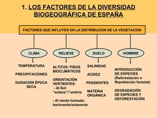 1. LOS FACTORES DE LA DIVERSIDAD
BIOGEOGRÁFICA DE ESPAÑA
FACTORES QUE INFLUYEN EN LA DISTRIBUCION DE LA VEGETACIÓN
CLIMA RELIEVE SUELO HOMBRE
TEMPERATURA
PRECIPITACIONES
DURACION ÉPOCA
SECA
ALTITUD: PISOS
BIOCLIMÁTICOS
ORIENTACIÓN
VERTIENTES:
- Al Sol:
“solana”/”umbría
- Al viento húmedo:
barlovento/sotavento
INTRODUCCIÓN
DE ESPECIES
(Reforestación o
Repoblación forestal)
DEGRADACIÓN
DE ESPECIES Y
DEFORESTACIÓN
SALINIDAD
ACIDEZ
PENDIENTES
MATERIA
ORGÁNICA
 