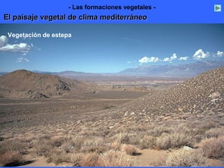 Vegetación de estepa
El paisaje vegetal de clima mediterráneoEl paisaje vegetal de clima mediterráneo
- Las formaciones vegetales -
 