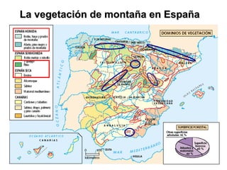 La vegetación de montaña en EspañaLa vegetación de montaña en España
 