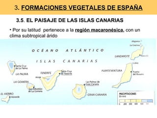 3. FORMACIONES VEGETALES DE ESPAÑA
3.5. EL PAISAJE DE LAS ISLAS CANARIAS
• Por su latitud pertenece a la región macaronésica, con un
clima subtropical árido
 