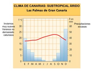 Precipitaciones
escasas
Inviernos
muy suaves
Veranos no
demasiado
calurosos
CLIMA DE CANARIAS: SUBTROPICAL ÁRIDO
 