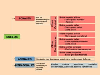 SUELOSSUELOS
ZONALESZONALES
AZONALESAZONALES
INTRAZONALESINTRAZONALES
Son los
formados bajo la
influencia del
climática
Son suelos muy jóvenes que todavía no se han terminado de formar.
Son suelos
formados por
factores
locales
Sobre roquedo silíceo
-Tierra parda húmeda
- Ránkers
Sobre roquedo calizo
-Tierra parda caliza
-Terra fusca
Sobre roquedo silíceo
-Tierra parda meridional
Sobre roquedo calizo
-Suelo rojo mediterráneo
-Terra rossa
Sobre arcillas y margas
-Vertisuelos o tierras negras
Sobre zonas esteparias
-Suelo gris subdesértico
Pardos calizos, rendzinas, aluviales,
encharcados, arenosos, salinos, volcánicos
 