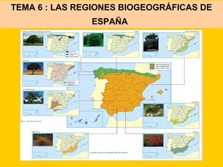 TEMA 6 : LAS REGIONES BIOGEOGRÁFICAS DE
ESPAÑA
 