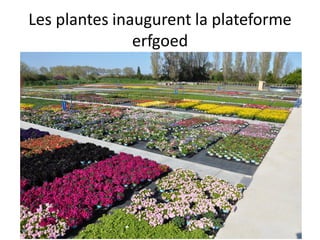 Les plantes inaugurent la plateforme
erfgoed
 