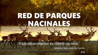 RED DE PARQUES
NACINALES
Espacios protegidos de interés nacional.
Malena San José de Castro
4ºA
 