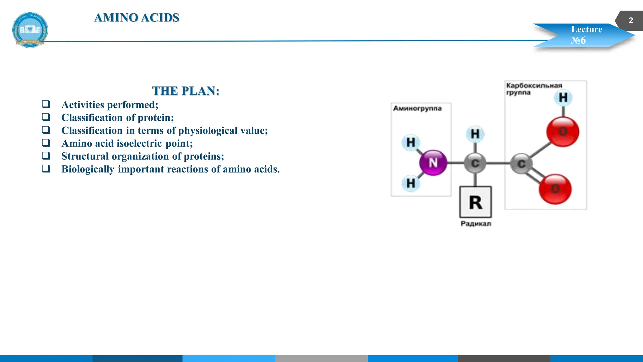 amino acids, proteins, classification of amino acids | PDF