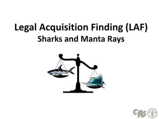 Legal Acquisition Finding (LAF)
Sharks and Manta Rays
 
