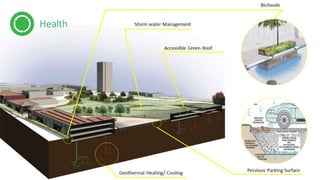 From Grey to Green | 2014 Fall Studio