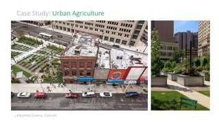 From Grey to Green | 2014 Fall Studio