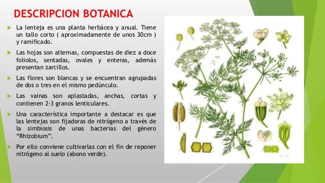 Cappero Alle Mura Ristorante Cappero Alle Mura Ristorante