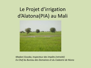 Le Projet d’irrigation
d’Alatona(PIA) au Mali
Madani Sissoko, Inspecteur des Impôts (retraité)
Ex Chef du Bureau des Domaines et du Cadastre de Niono
 