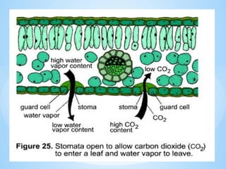 © Galaxysite.weebly.com - All Rights Reserved
 