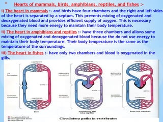 i) The heart in mammals :- and birds have four chambers and the right and left sides
of the heart is separated by a septum. This prevents mixing of oxygenated and
deoxygenated blood and provides efficient supply of oxygen. This is necessary
because they need more energy to maintain their body temperature.
ii) The heart in amphibians and reptiles :- have three chambers and allows some
mixing of oxygenated and deoxygenated blood because the do not use energy to
maintain their body temperature. Their body temperature is the same as the
temperature of the surroundings.
iii) The heart in fishes :- have only two chambers and blood is oxygenated in the
gills.
© Galaxysite.weebly.com - All Rights Reserved
* Hearts of mammals, birds, amphibians, reptiles, and fishes :-
 