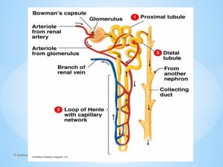 © Galaxysite.weebly.com - All Rights Reserved
 