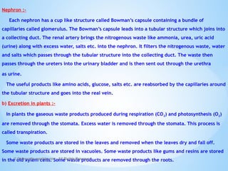 Nephron :-
Each nephron has a cup like structure called Bowman’s capsule containing a bundle of
capillaries called glomerulus. The Bowman’s capsule leads into a tubular structure which joins into
a collecting duct. The renal artery brings the nitrogenous waste like ammonia, urea, uric acid
(urine) along with excess water, salts etc. into the nephron. It filters the nitrogenous waste, water
and salts which passes through the tubular structure into the collecting duct. The waste then
passes through the ureters into the urinary bladder and is then sent out through the urethra
as urine.
The useful products like amino acids, glucose, salts etc. are reabsorbed by the capillaries around
the tubular structure and goes into the real vein.
b) Excretion in plants :-
In plants the gaseous waste products produced during respiration (CO2) and photosynthesis (O2)
are removed through the stomata. Excess water is removed through the stomata. This process is
called transpiration.
Some waste products are stored in the leaves and removed when the leaves dry and fall off.
Some waste products are stored in vacuoles. Some waste products like gums and resins are stored
in the old xylem cells. Some waste products are removed through the roots.
© Galaxysite.weebly.com - All Rights Reserved
 