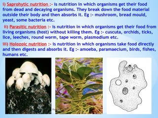 i) Saprohytic nutrition :- is nutrition in which organisms get their food
from dead and decaying organisms. They break down the food material
outside their body and then absorbs it. Eg :- mushroom, bread mould,
yeast, some bacteria etc.
ii) Parasitic nutrition :- is nutrition in which organisms get their food from
living organisms (host) without killing them. Eg :- cuscuta, orchids, ticks,
lice, leeches, round worm, tape worm, plasmodium etc.
iii) Holozoic nutrition :- is nutrition in which organisms take food directly
and then digests and absorbs it. Eg :- amoeba, paramaecium, birds, fishes,
humans etc.
© Galaxysite.weebly.com - All Rights Reserved
 