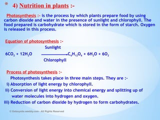 Photosynthesis :- is the process by which plants prepare food by using
carbon dioxide and water in the presence of sunlight and chlorophyll. The
food prepared is carbohydrate which is stored in the form of starch. Oxygen
is released in this process.
Equation of photosynthesis :-
Sunlight
6CO2 + 12H2O C6H12O6 + 6H2O + 6O2
Chlorophyll
Process of photosynthesis :-
Photosynthesis takes place in three main steps. They are :-
i) Absorption of light energy by chlorophyll.
ii) Conversion of light energy into chemical energy and splitting up of
water molecules into hydrogen and oxygen.
iii) Reduction of carbon dioxide by hydrogen to form carbohydrates.
© Galaxysite.weebly.com - All Rights Reserved
* 4) Nutrition in plants :-
 
