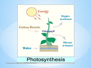 © Galaxysite.weebly.com - All Rights Reserved
 