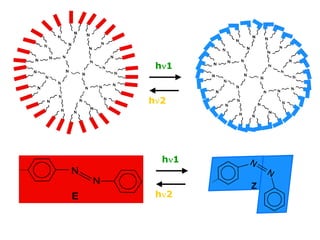 hν1

hν2

hν1

hν2

 