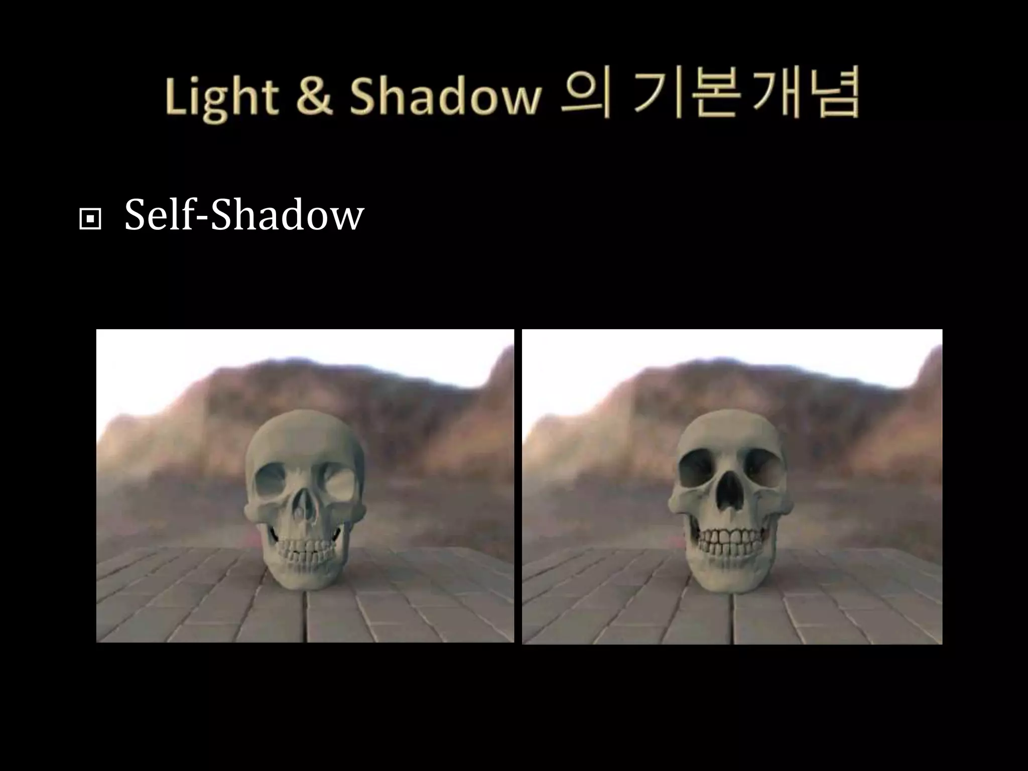    Self-Shadow
 