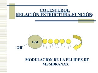 COLESTEROL
RELACIÓN ESTRUCTURA-FUNCIÓN:
OH
COL
MODULACION DE LA FLUIDEZ DE
MEMBRANAS…
 
