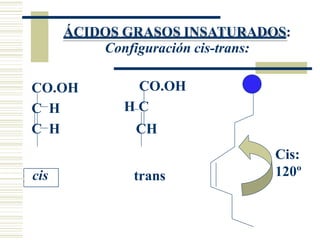cis
ÁCIDOS GRASOS INSATURADOS:
Configuración cis-trans:
CO.OH CO.OH
H C
C H
C H CH
trans
Cis:
120º
 
