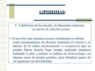 LIPOSOMAS:
 A diferencia de las micelas, los liposomas contienen
un núcleo de solución acuosa.
 Al envolver una sustancia acuosa, actualmente se utilizan
como transportadores de diversas sustancias al exterior y al
interior de la célula (medicamentos o cosméticos) que se
puedan liberar durante largo tiempo, pudiendo mantener
hidratada la piel, e incluso se utilizan en biotecnología, en
algunos casos de terapia genética, para introducir genes de
un organismo en otro diferente.
 
