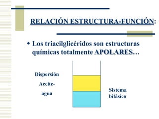 RELACIÓN ESTRUCTURA-FUNCIÓN:
 Los triacilglicéridos son estructuras
químicas totalmente APOLARES…
Dispersión
Aceite-
agua
Sistema
bifásico
 