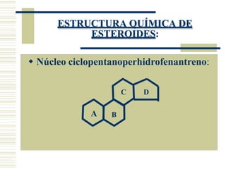ESTRUCTURA QUÍMICA DE
ESTEROIDES:
 Núcleo ciclopentanoperhidrofenantreno:
A B
C D
 