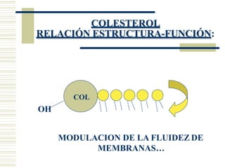 COLESTEROL
RELACIÓN ESTRUCTURA-FUNCIÓN:
COL
OH
MODULACION DE LA FLUIDEZ DE
MEMBRANAS…
 