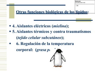Otras funciones biológicas de los lípidos:
 4. Aislantes eléctricos (mielina);
 5. Aislantes térmicos y contra traumatismos
(tejido celular subcutáneo);
 6. Regulación de la temperatura
corporal: (grasa parda)…
Moderador
2019-08-29 08:14:35
-------------------------------------------
- OK
 