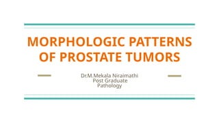 Prostate Pattern 5 MORPHOLOGICAL PATTERNS OF PROSTATE TUMORS.pptx