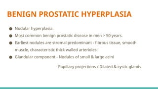 MORPHOLOGICAL PATTERNS OF PROSTATE TUMORS.pptx