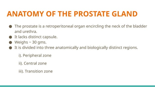 Prostate Pattern D MORPHOLOGICAL PATTERNS OF PROSTATE TUMORS.pptx