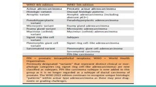 Protate Pattern 4 MORPHOLOGICAL PATTERNS OF PROSTATE TUMORS.pptx