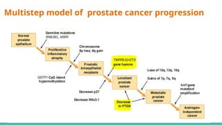 Pattern 3 Prostate MORPHOLOGICAL PATTERNS OF PROSTATE TUMORS.pptx