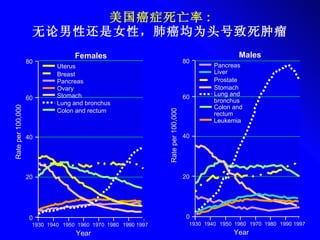 美国癌症死亡率 : 无论男性还是女性，肺癌均为头号致死肿瘤 Females Males 80 60 40 20 0 1930 1940 1950 1960 1970 1980 1990 1997 80 60 40 20 0 1930 1940 1950 1960 1970 1980 1990 1997 Uterus Breast Pancreas Ovary Stomach Lung and bronchus Colon and rectum Pancreas Liver Prostate Stomach Lung and  bronchus  Colon and  rectum Leukemia Rate per 100,000 Rate per 100,000 Year Year 