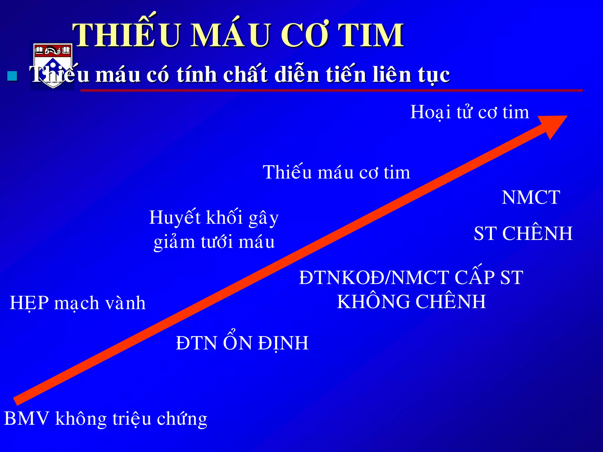 THIEÁU MAÙU CÔ TIM
 Thieáu maùu coù tính chaát dieãn tieán lieân tuïc
BMV khoâng trieäu chöùng
ÑTN OÅN ÑÒNH
ÑTNKOÑ/NMCT CAÁP ST
KHOÂNG CHEÂNH
NMCT
ST CHEÂNH
HEÏP maïch vaønh
Huyeát khoái gaây
giaûm töôùi maùu
Thieáu maùu cô tim
Hoaïi töû cô tim
 