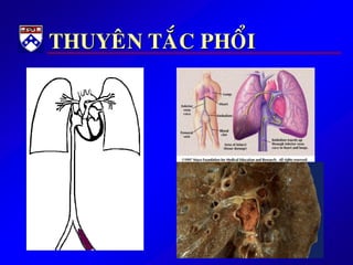 THUYEÂN TAÉC PHOÅI
 