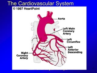 Department of Emergency Medicine
University of Pennsylvania Health System
2
The Cardiovascular System
Rachel S. Natividad, RN, MSN, NP
N212 Medical Surgical Nursing 1
 