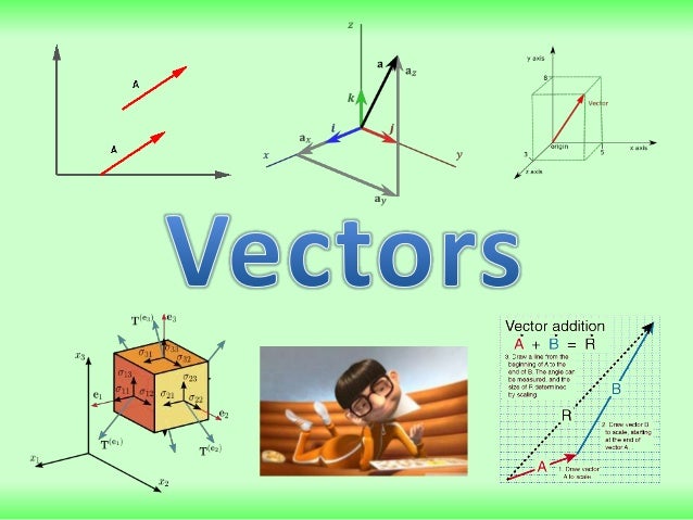 vectors
