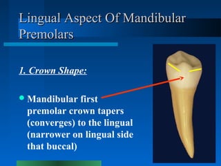 Lingual Aspect Of MandibularLingual Aspect Of Mandibular
PremolarsPremolars
1. Crown Shape:
Mandibular first
premolar cro...