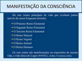 MANIFESTAÇÃO DA CONSCIÊNCIA
Há sete reinos principais de vida que evoluem juntos
através do nosso Esquema terrestre:
 O Primeiro Reino Elemental
 O Segundo Reino Elemental
 O Terceiro Reino Elemental
 O Reino Mineral
 O Reino Vegetal
 O Reino Animal
 O Reino Humano
Os sete reinos são manifestações ou expressões da mesma
vida, a vida única do Logos (POWELL, Arthur. O sistema solar).
 