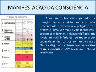 MANIFESTAÇÃO DA CONSCIÊNCIA
Após um outro vasto período de
duração similar, é visto que a pressão
descendente provocou a repetição deste
processo; uma vez mais a vida identificou-
se com suas formas, e fixou residência nos
níveis mentais inferiores, de modo a ser
capaz de animar corpos no mundo astral.
Neste estágio nós a chamamos de terceiro
reino elemental.” (C.W. Leadbeater – Manual
de Teosofia)
 