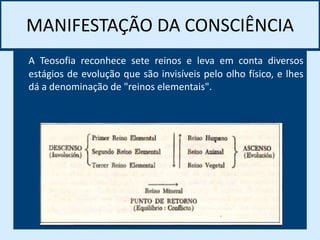 MANIFESTAÇÃO DA CONSCIÊNCIA
A Teosofia reconhece sete reinos e leva em conta diversos
estágios de evolução que são invisíveis pelo olho físico, e lhes
dá a denominação de "reinos elementais".
 