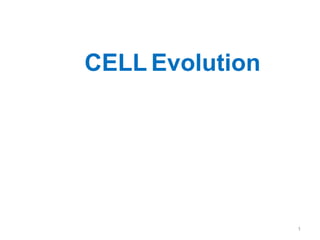 CELL Evolution
1
 